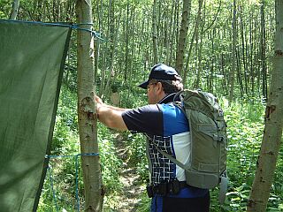 Im Wald und auf der Heide