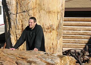 Versteinerte B&auml;ume  (im Hintergrund), nicht unser Regionaldirektor
