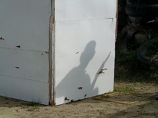 Schattenspiele bei 30 Grad