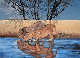 friedliche L&ouml;wen auf der Range (&Ouml;lbild) bei Stage 9