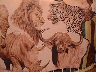 The Big Five  Elefant, Nashorn, L&ouml;we, Wasserb&uuml;ffel, Leopard 