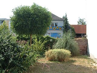 our Hotel garden